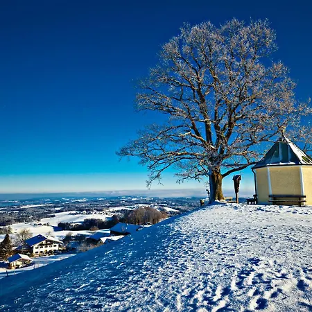 Bergloft Alpenjuwel Mit Bergblick Am Bach Appartamento Bernau am Chiemsee